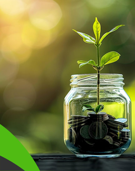 Check Balance - Expert Accounting Support Tailored for Your Business.